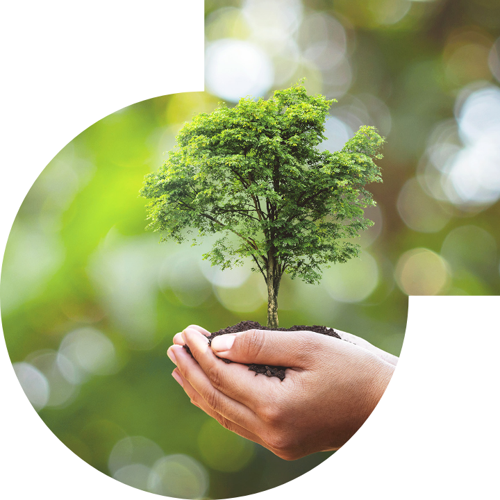 关怀人类、文化、环境与社会